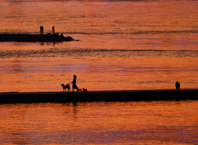 Visual Chongqing | Riverside