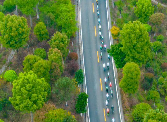 Visual Chongqing | Life Vitality