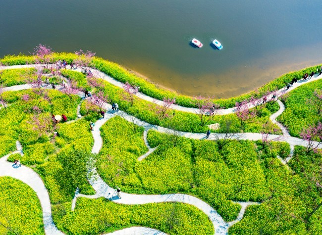 Visual Chongqing | Poetic Image of Banan