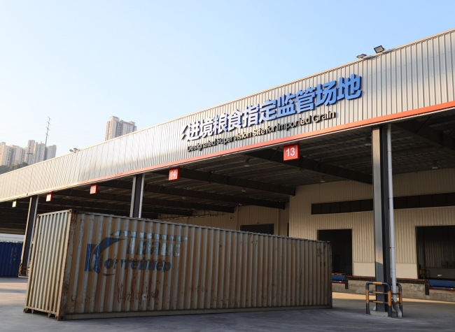 Chongqing's First Port with Direct Grain Import Qualification Opens to Globe