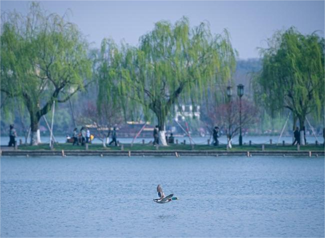 China Makes Solid Progress in Water Resources Protection