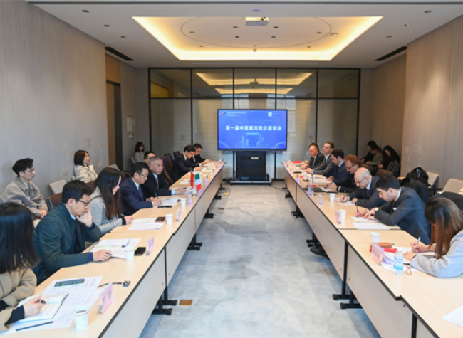 Booming Chongqing Embraces More Investment Worldwide丨Insights