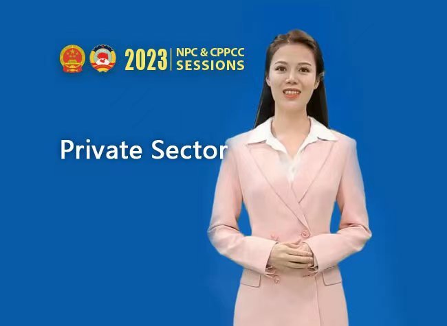 Buzzword: 2023 Two Sessions
Episode 9: Private Sector