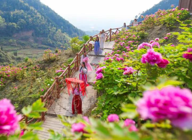 Feast Your Eyes, Feed Your Stomach during Peony Culture Festival in Chongqing