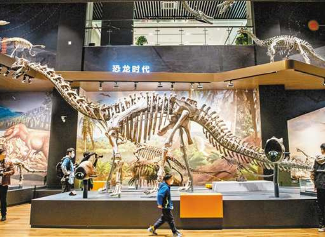 Chongqing Natural Resources Science Museum Opens