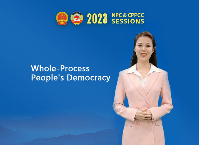 Buzzword: 2023 Two Sessions Episode 2: Whole-Process People's Democracy ...