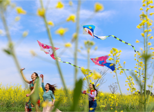 Visual Chongqing | Fly in The Wind