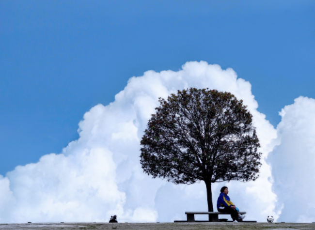 Visual Chongqing | Take A Rest in Clouds