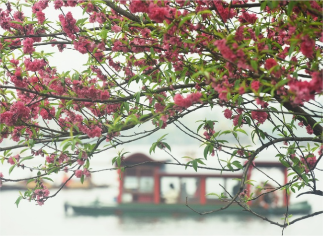 China Sees Nearly 24 Mln Domestic Tourist Trips on Qingming Festival