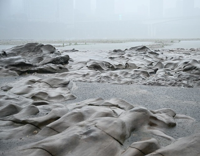 World Earth Day: Unearthing Chongqing's Billion-Year-Old 'Jewels'