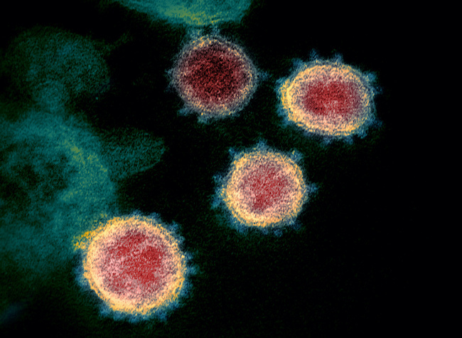Scientists Deny Claims COVID Data Was Withheld