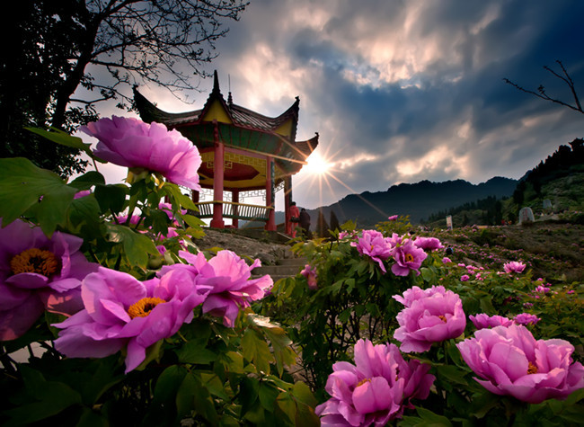 Dianjiang Boasts Fertile Ground For Harmonious Industrial and Ecological Advancement