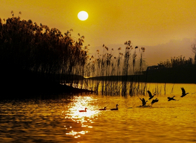 Visual Chongqing | The Golden Lake