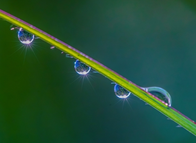 Visual Chongqing | Morning Dew