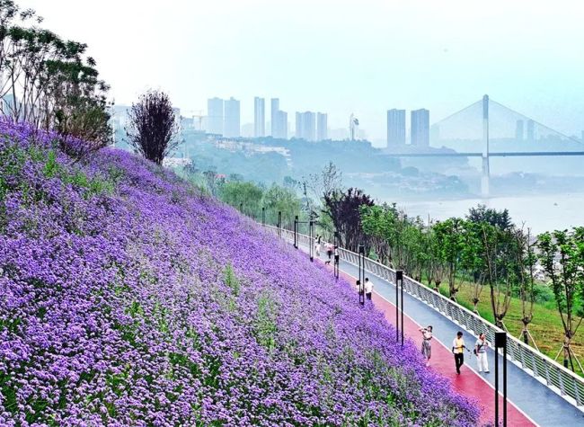 Chongqing to Open Over 50 Urban Green Spaces This Year