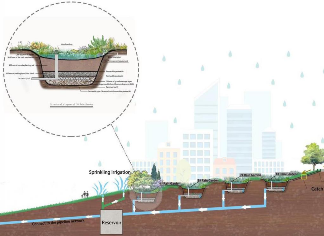 Chongqing's 'Sponge Garden' Shows How to Use Rainwater