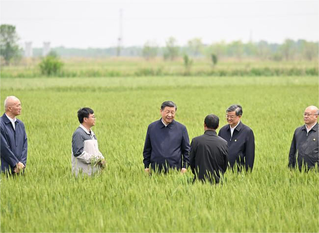 Xi Visits City of Cangzhou in North China's Hebei Province