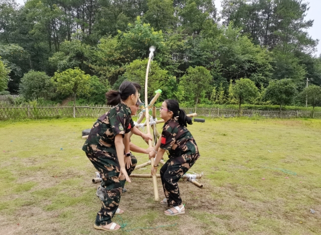 Rising Popularity of Chinese Study Tours Highlights Need for Social Responsibility | Insights