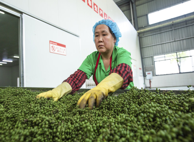 Chongqing's Agriculture Exports Thrive with Peppercorns and Distinctive Products | Story