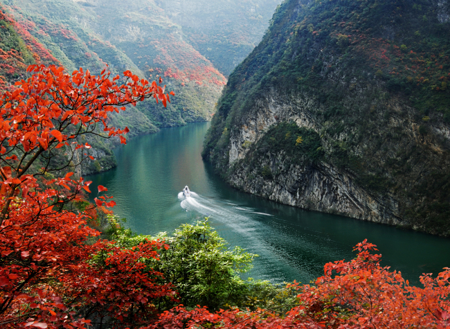 Chengdu and Chongqing United to Fortify Ecological Barrier in Upper Yangtze River