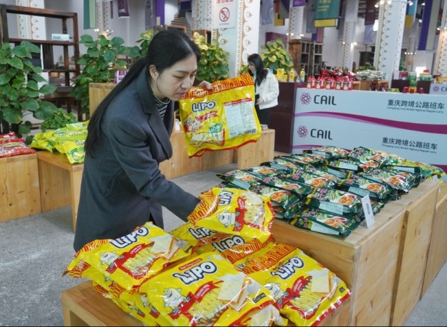 Economic Diplomacy: Vietnam Shines as Chongqing's Key ASEAN Trading Partner | In Depth