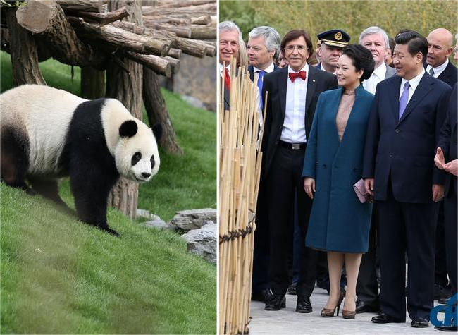 Belgian Friend Tells Beautiful Story of China