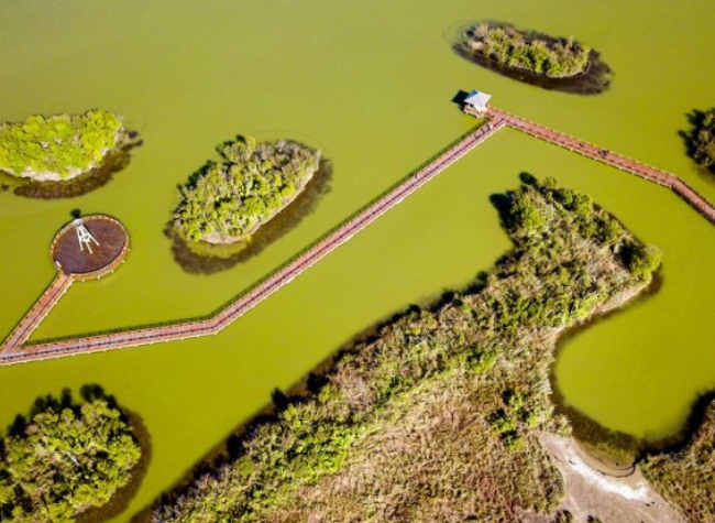 China Mulls Establishment of National Ecology Day