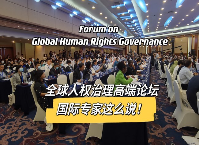 Exploring Global Human Rights Governance in a Day | Vlog