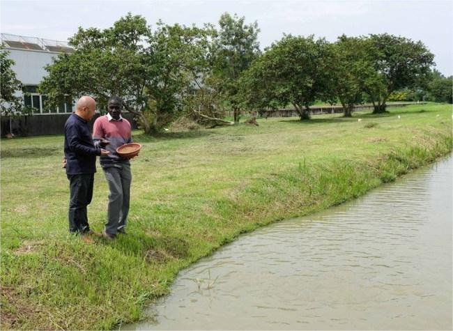 Global Development Initiative a Beacon of Hope in Turbulent World