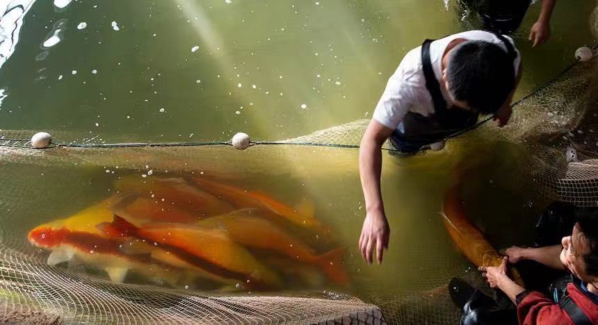 Chongqing Reports Solid Progress in Ecological Civilisation Three Years into Fishing Ban