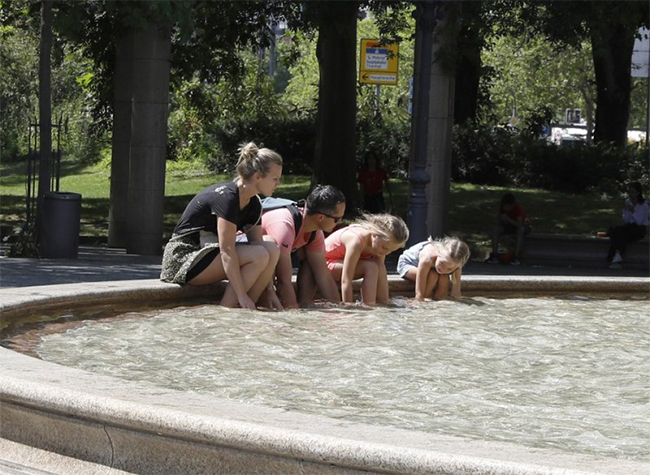 WHO Calls for Urgent Action as Deaths From Extreme Heat Surge in Europe