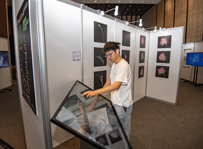 Data Visualization: The New Language Bridging Humans and Information