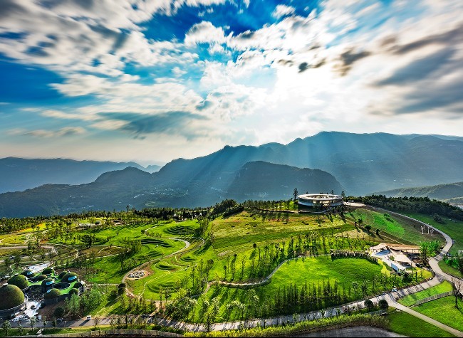 Green Development Practice Forum Boasts a Remarkable 90% Result Conversion Rate