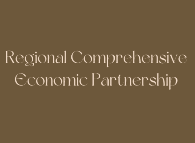 Chongqing Saw 580 Million Yuan of Goods Benefit from RCEP in Seven Months