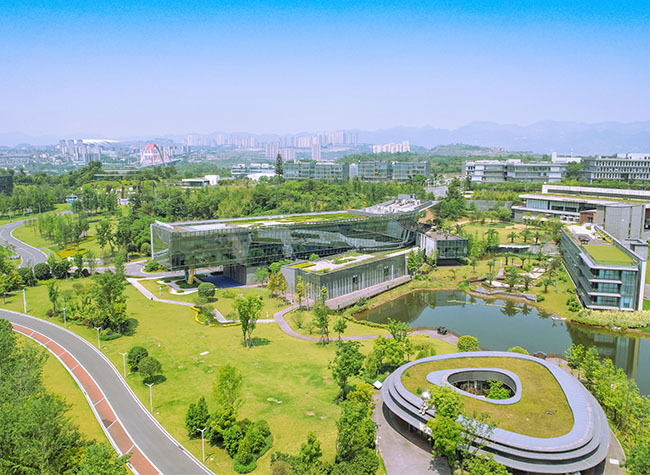 Chongqing High-Tech Enterprises Soar in Automotive, Electronics, Equipment Manufacturing