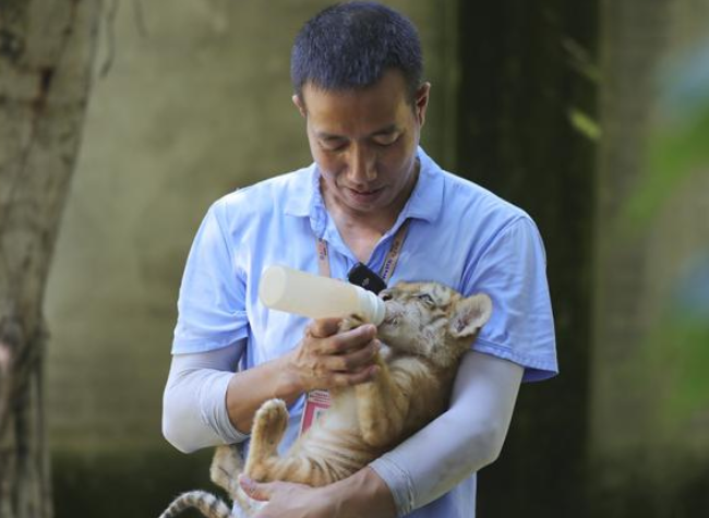 'Super Father' of the Cubs | Locals