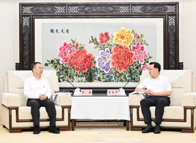 Chongqing and China Datang Corporation to Collaborate on New Energy Development