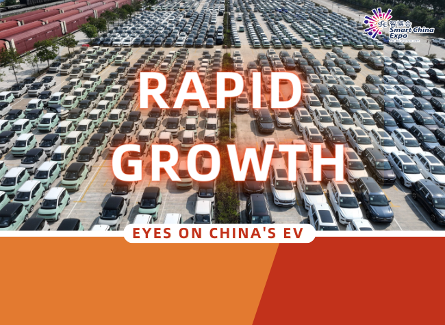 Rapid Growth丨Eyes on China's EV