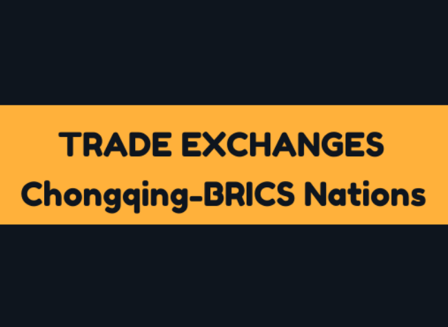 Chongqing Reports 10.5% Surge in Trade Exchanges with BRICS Nations | Economic Diplomacy