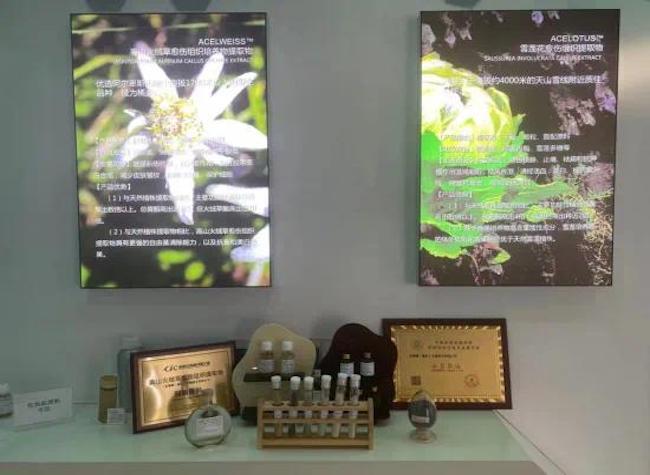 Science City's New Project to Uncover Economic Value Behind Cultivated Plant Cells