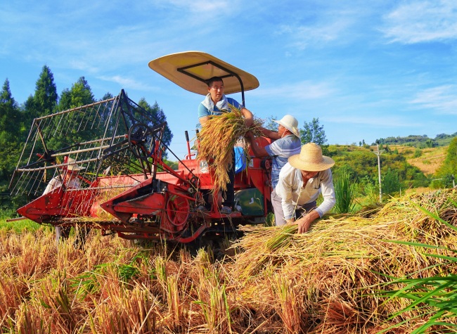 Chongqing Celebrates the 2023 Chinese Farmers' Harvest Festival