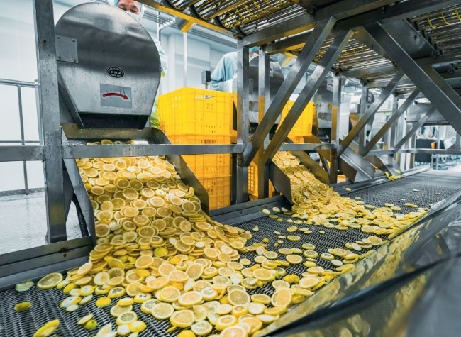 Over 30 Countries, Regions Savor Tongnan Lemon and Its By-products