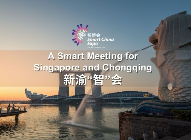 Singapore Delegation Looks for Business Opportunities through SCE2023