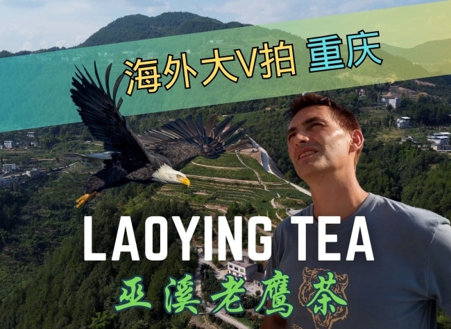 Skies are the Limit for Wuxi 'Eagle' Tea | James' Vlog