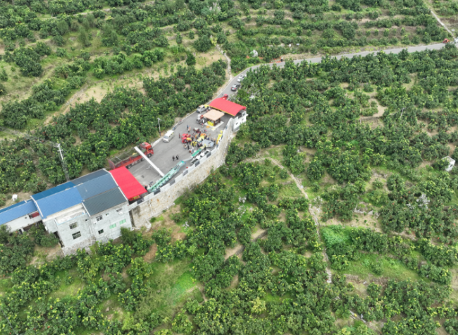 Chongqing's Pomelo Embarks on Journey to Europe