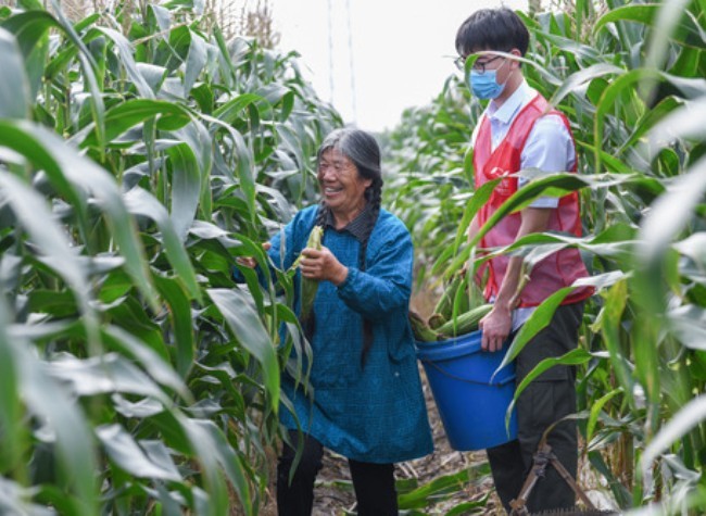 China to Strengthen Monitoring of Low-Income Population, Improve Social Assistance System