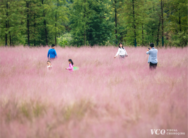 Visual Chongqing | Weekly City Views on Oct. 23-29, 2023