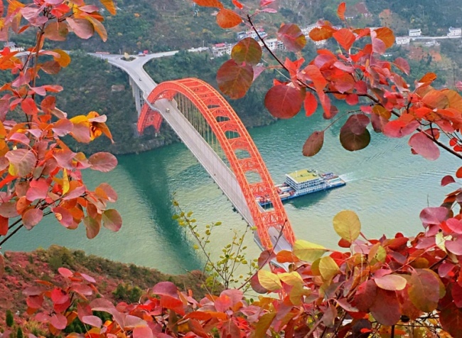 Yangtze Red Leaf Festival Opens Alongside National Village Song Contest Awards