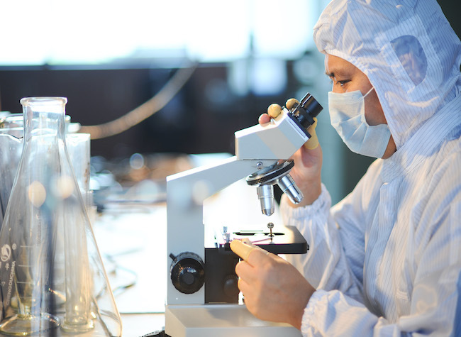 Chongqing's High-End Products Exported to More Than 100 Countries Relying on ILSTC | Insights