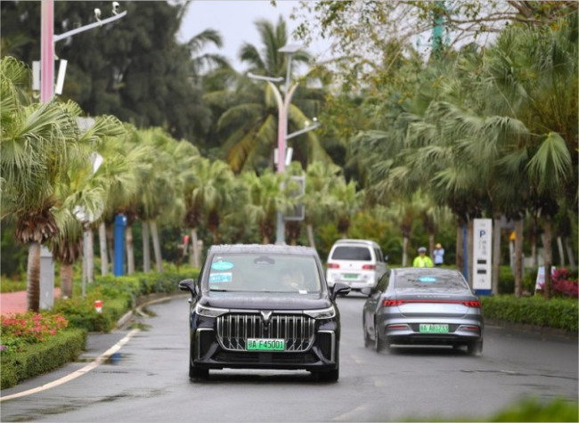 Electric Vehicles on Fast Track in Rural China